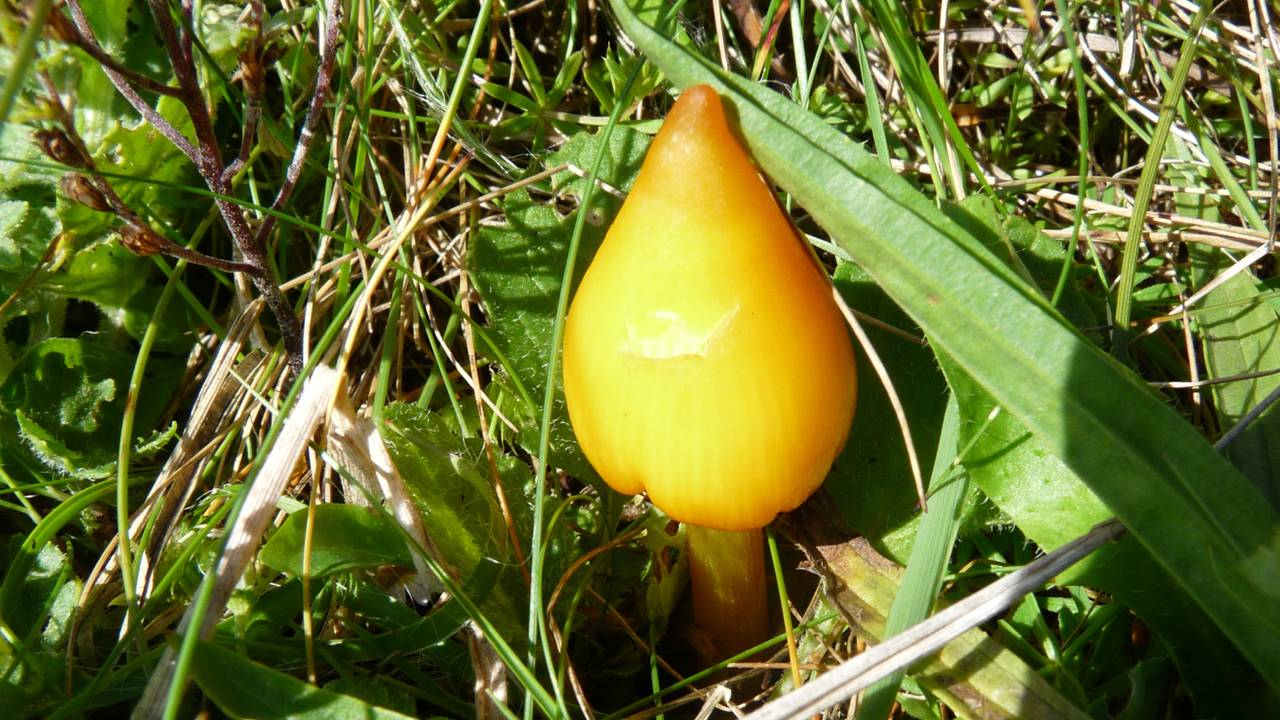 Ga naar slide 6