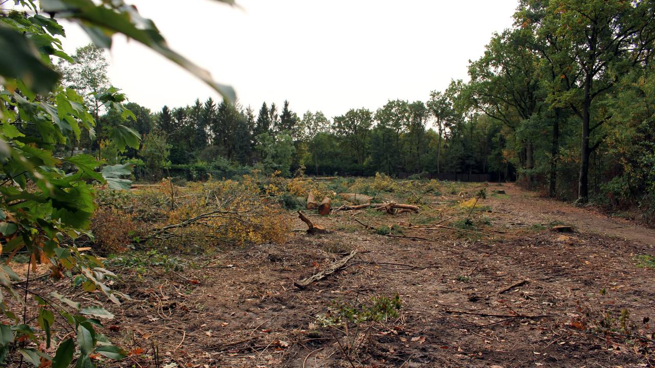 Ga naar slide 3