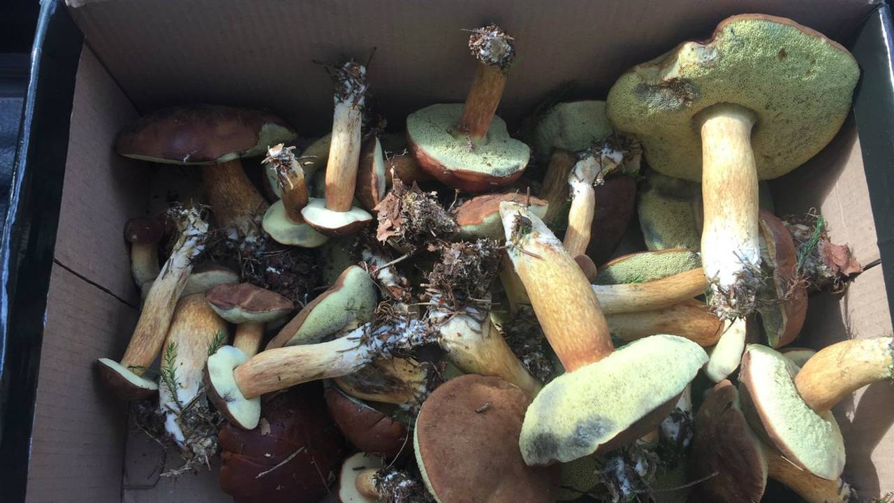 (foto: Twitter Erik de Jonge)