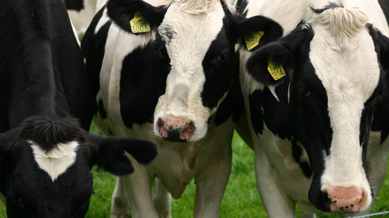 Tweeduizend bedrijven zitten nog op slot. (Foto: archief)