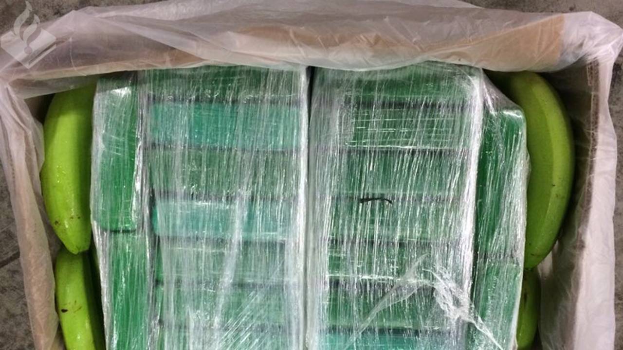 De coke zat verstopt tussen bananen. (Foto: politie)