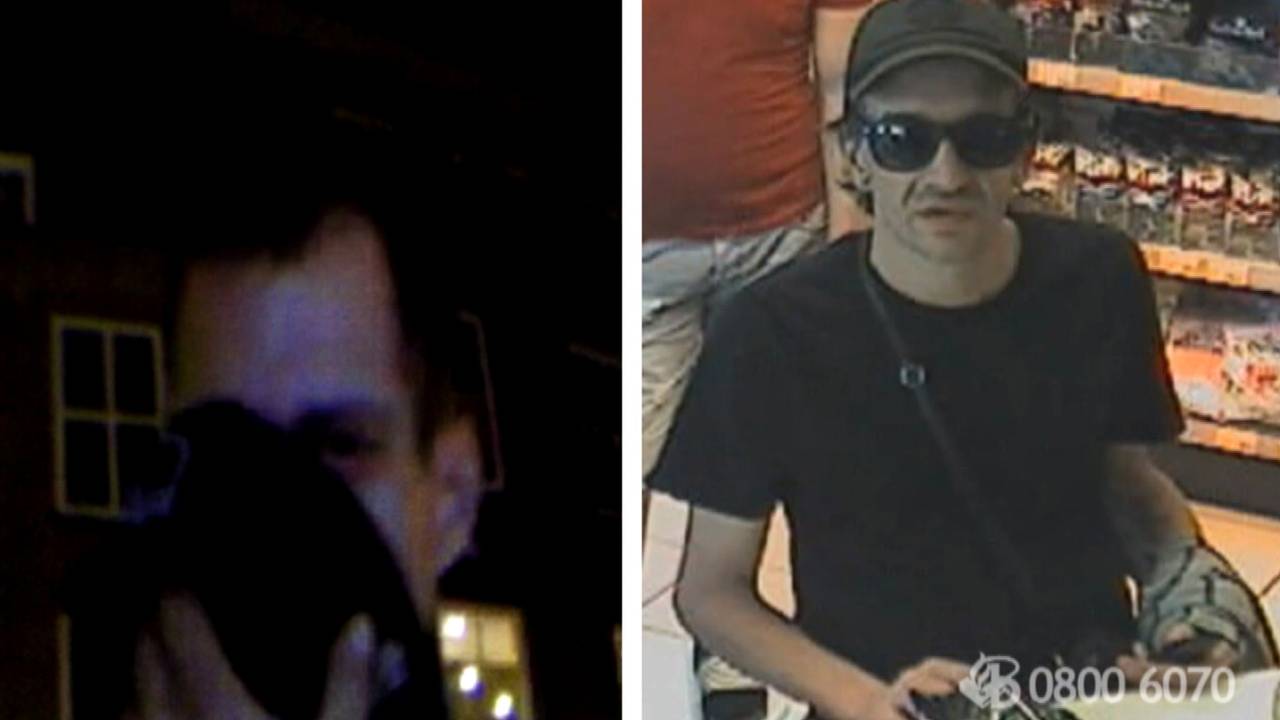 De twee pinpasdieven