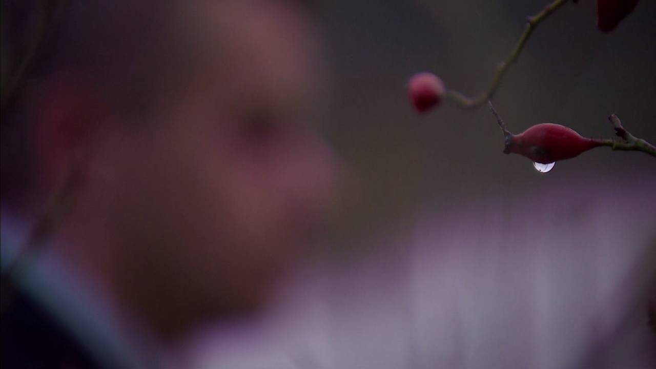 Klokkenluider over mestfraude: ‘Ze denken alleen aan geld’