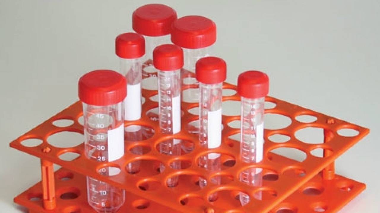 Archieffoto Omroep Brabant