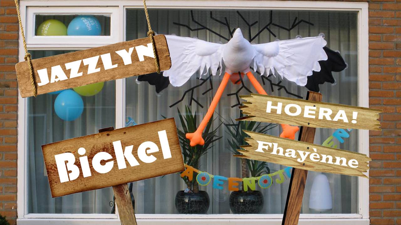 Waar zijn Bram, Guus en Neeltje gebleven?