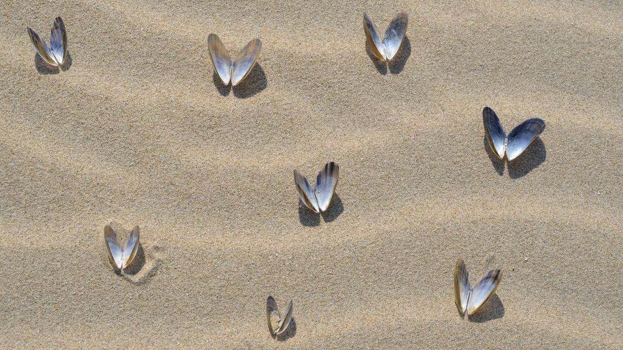 Ga naar slide 2