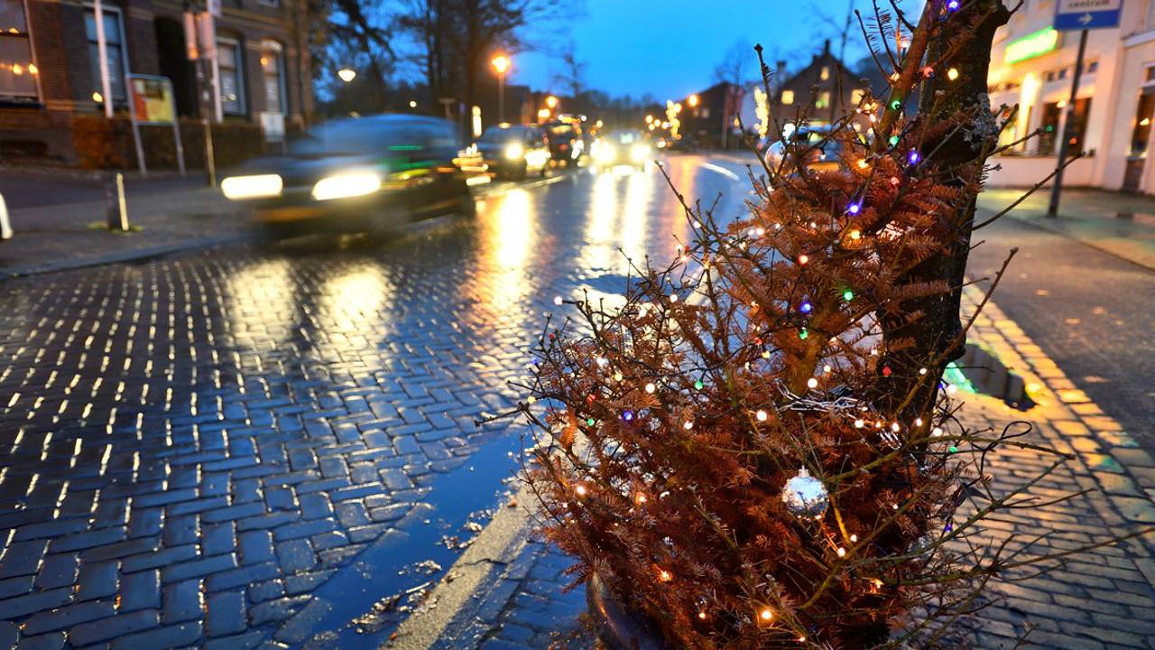 De boom zwierf een jaar door Ulvenhout heen, maar heeft nu een vaste plek in de Dorpsstraat. Foto: Erald van der Aa