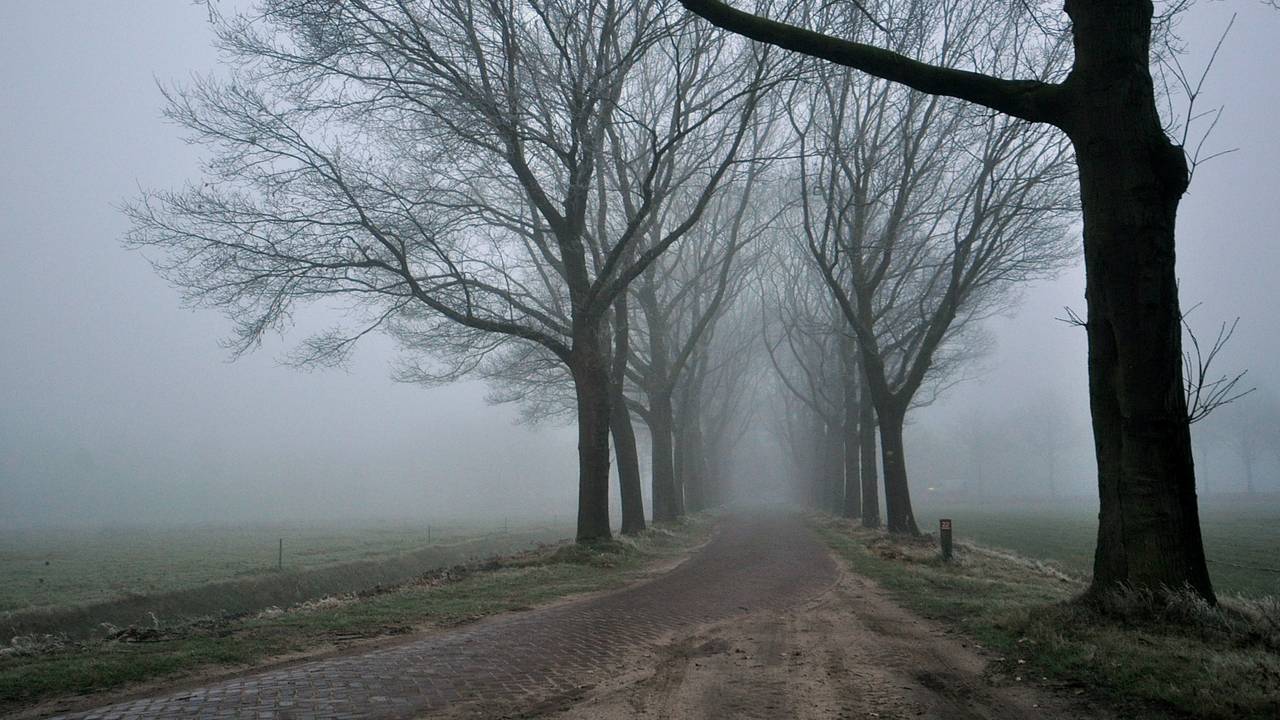 Ga naar slide 2