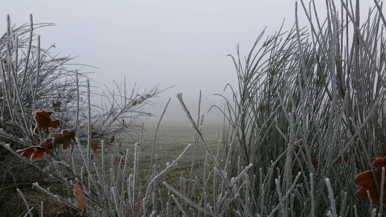 Ook in Gilze zorgt het weer voor mooie plaatjes (Foto: Jolanda Pelkmans).