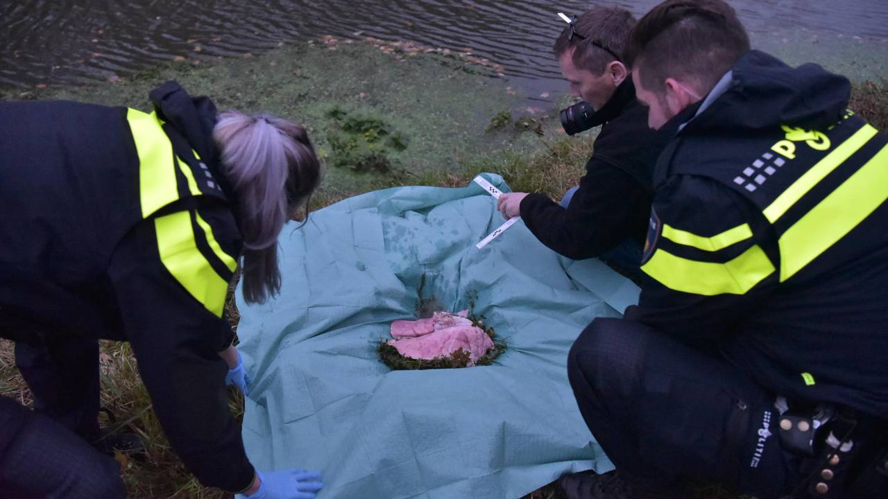 Na onderzoek bleek dat het om dierlijke longen gaat. (Foto: Tom van der Put/SQ Vision)