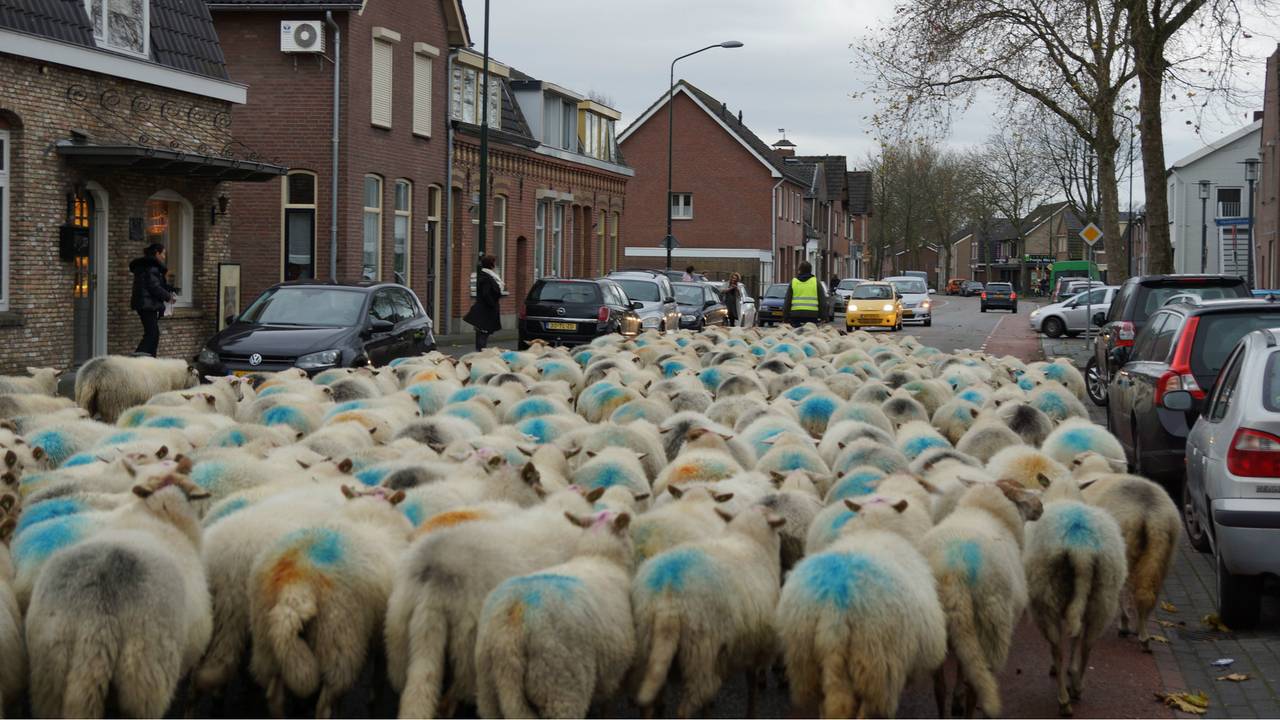 Ga naar slide 2