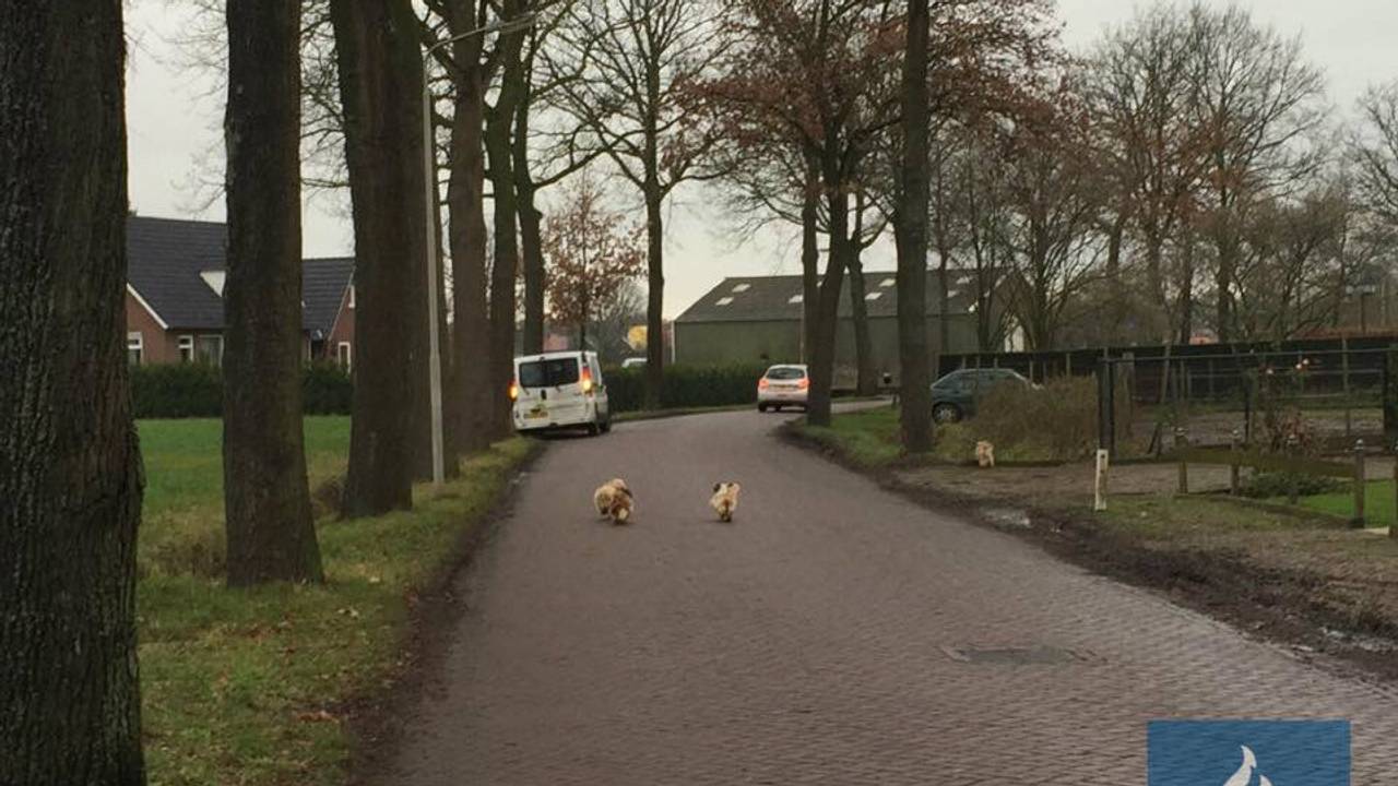 Ga naar slide 2