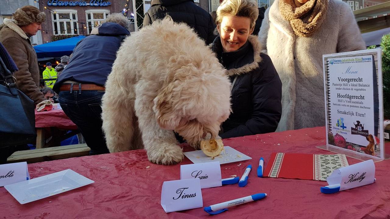 Een hond smult van het diner. (Foto: Dierenziekenhuis Eindhoven)