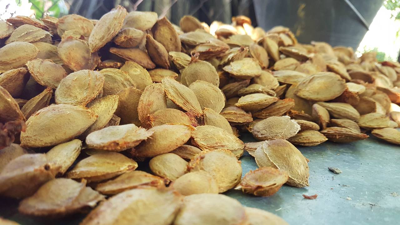 Archieffoto: Danijel Kopilovic/Flickr