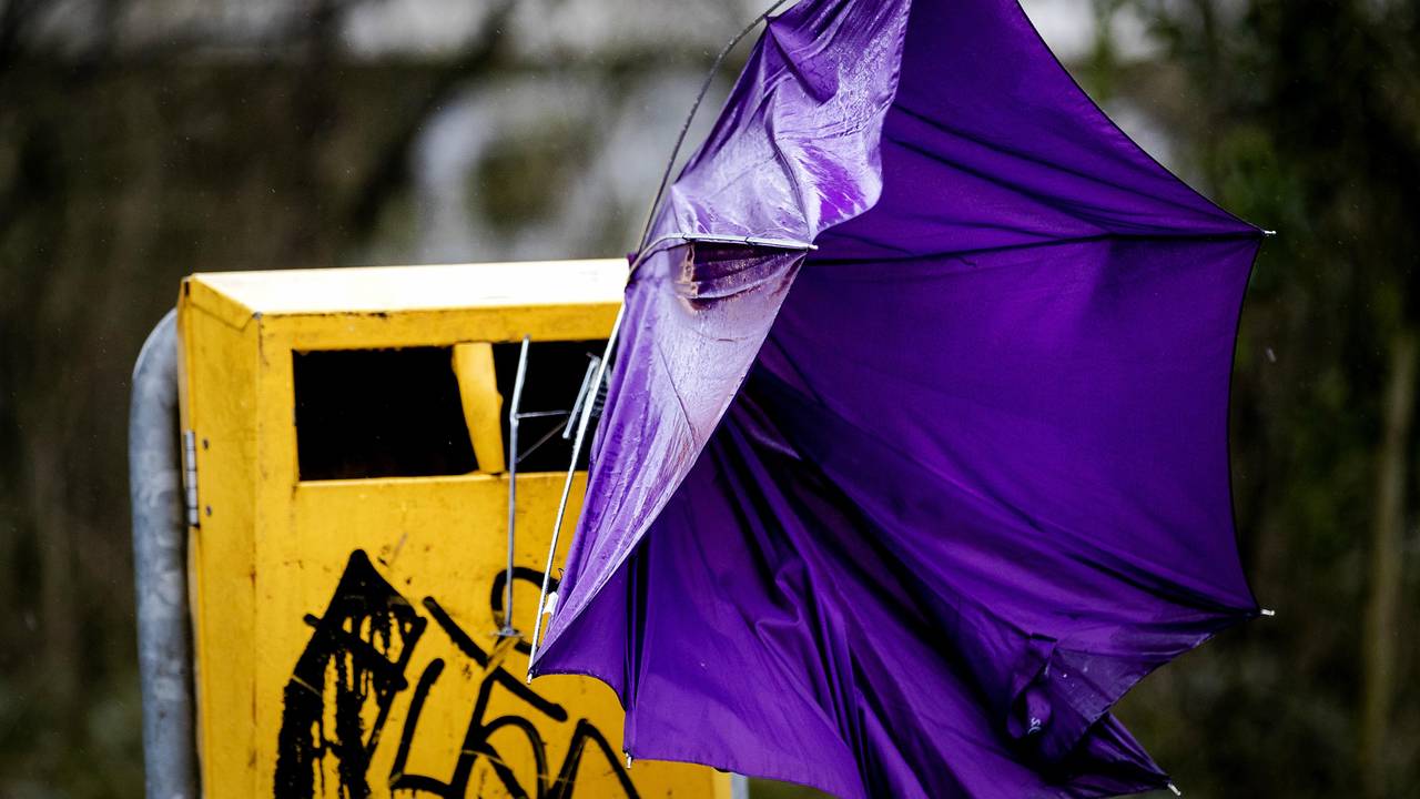 Zeer zware windstoten gemeten in Brabant. (Foto: ANP)