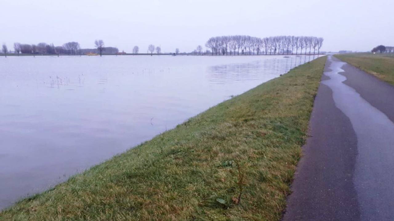 Bergsche Maas bij Overdiepse Polder (foto: Waterschap Brabantse Delta).