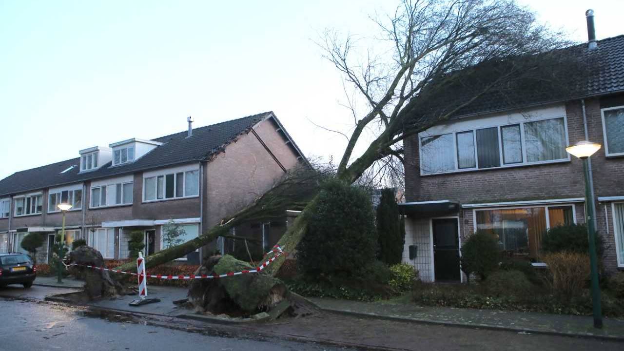 De boom viel op het huis van Jo Boesten uit Waalre. (Foto: Hans van Hamersveld)