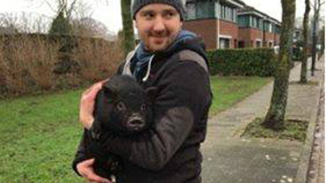 Thijs vond het varken. (Foto: politie Schijndel/Facebook)