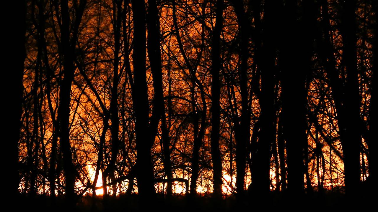 Grote brand in natuurgebied de Deurnese Peel. (Foto: Harrie Grijseels/SQ Vision)
