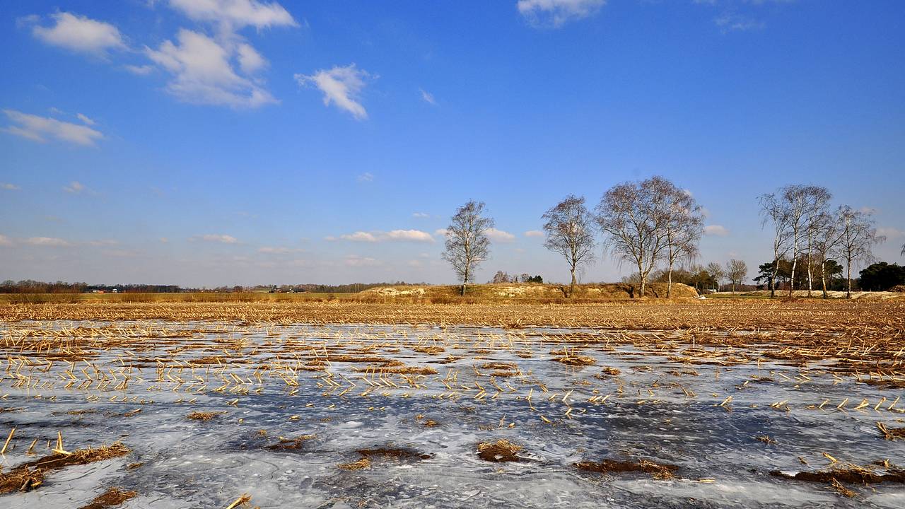 Het was ijskoud in Brabant. (Foto: Ben Saanen)