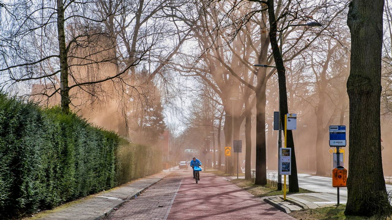De mysterieuze stofwolk. (Foto: Toby de Kort)