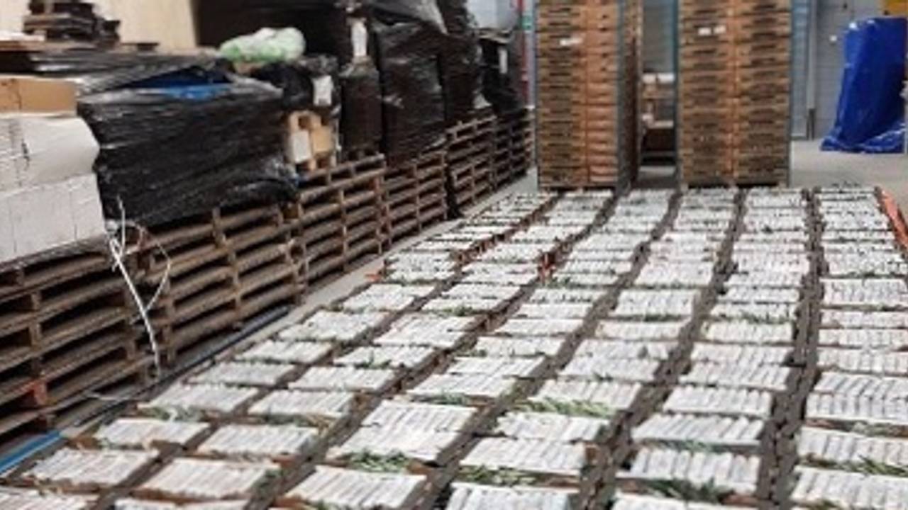 De coke in de loods in Oudenbosch (foto: politie)