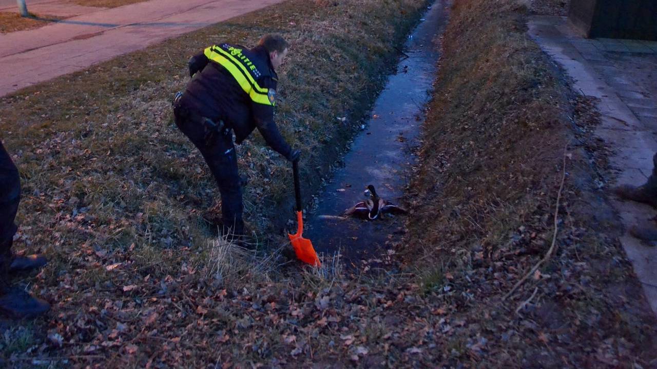 De agenten schoten te hulp (foto: Toby de Kort)