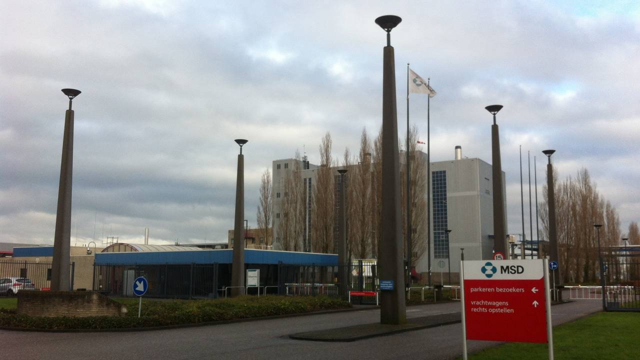 MSD in Oss (foto: Raoul Cartens)