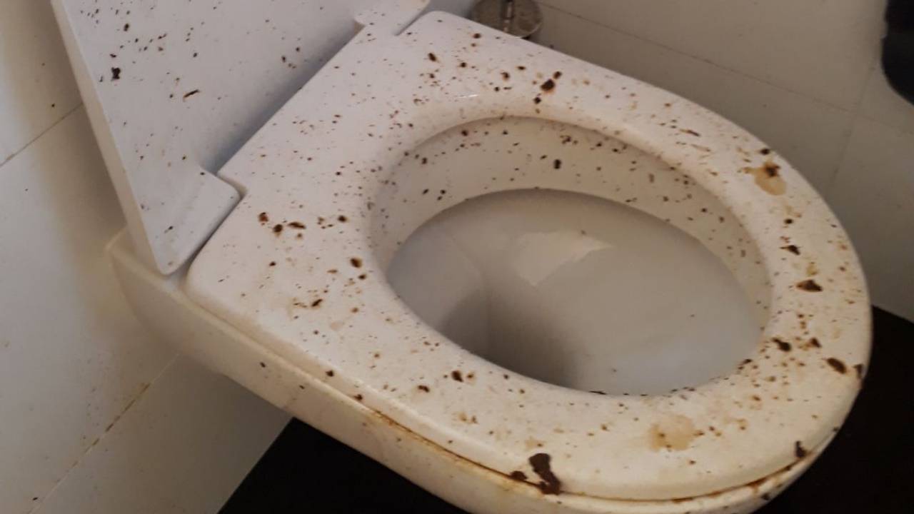 Poep Spuit Uit Het Toilet Terwijl Lotte 18 Erop Zit Het Kwam Bijna Tot Aan Het Plafond Omroep Brabant