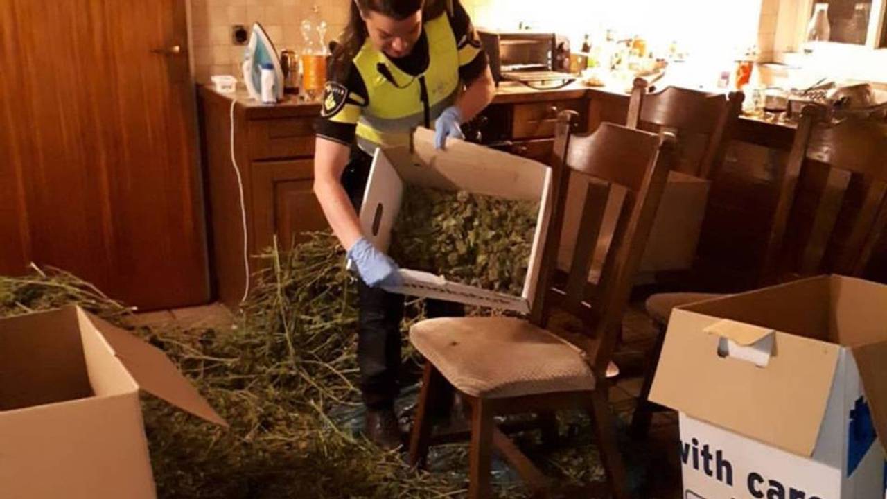 De politie ontdekte de hennepknipperij na een tip. (Foto: Facebook politie Gemert-Bakel en Laarbeek)