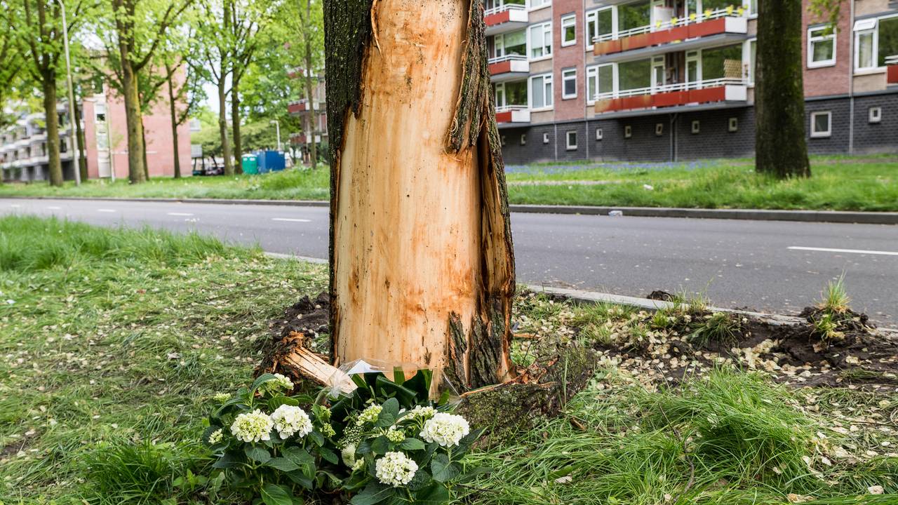 Bij de Rueckertbaan in Tilburg zijn bloemen gelegd. FOTO: Jack Brekelmans.