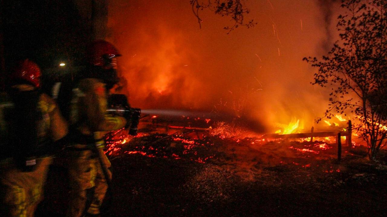 Foto: Pim Verkoelen (SQ Vision)