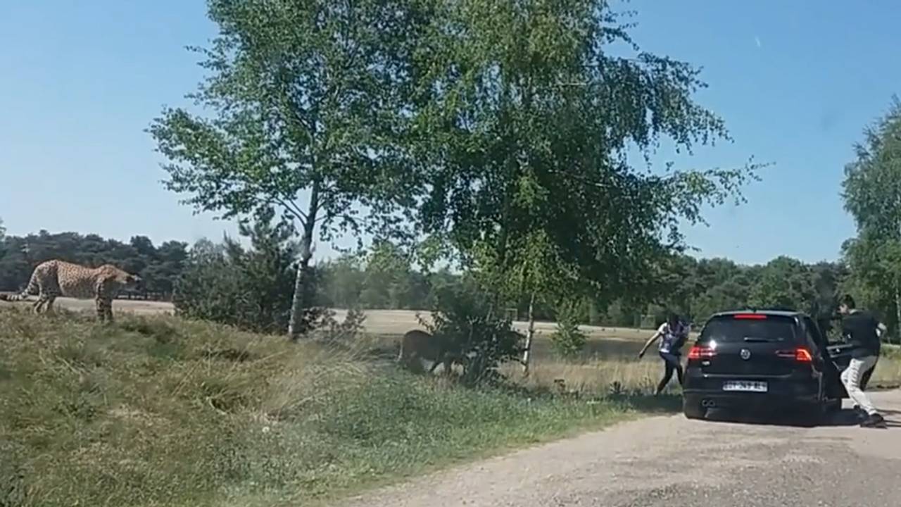 Foto: FPE Humor/Youtube