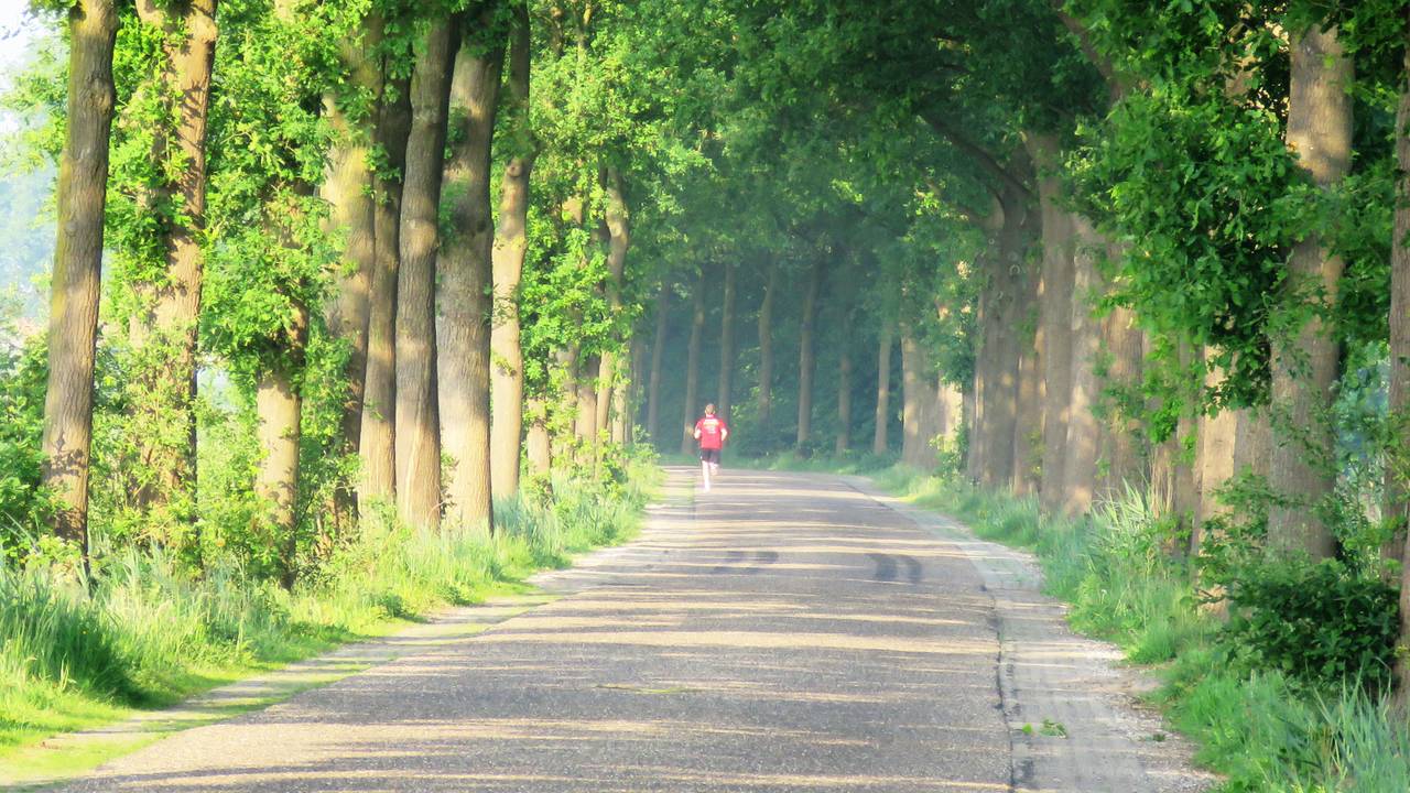 Een mooie ochtend in Oirschot. (Foto: Peter van der Schoot)