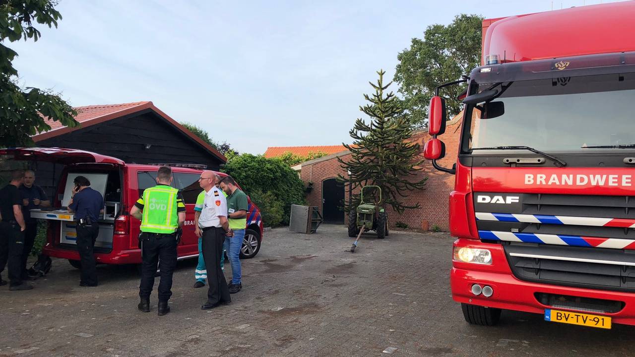 Foto: René van Hoof