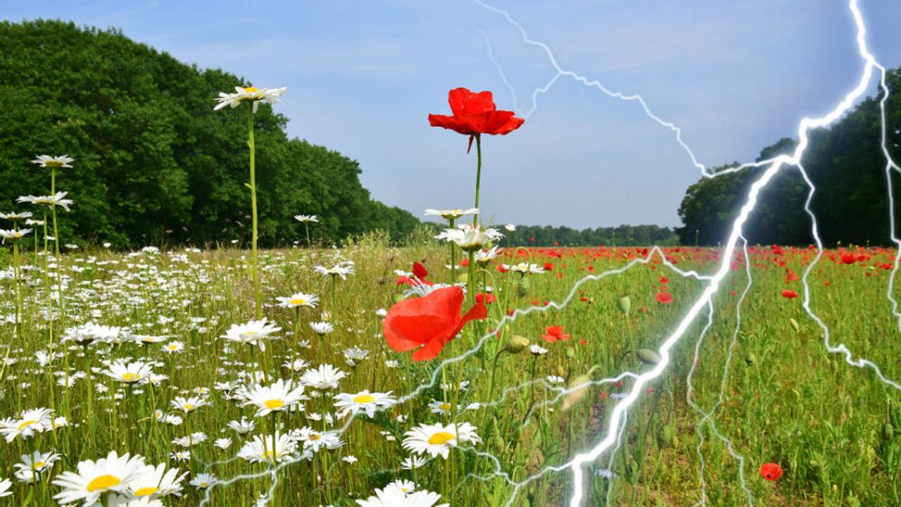 De dinsdag begon mooi in Budel (Foto: Ben Saanen / PNG All).