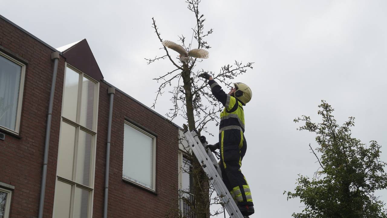 Ga naar slide 3