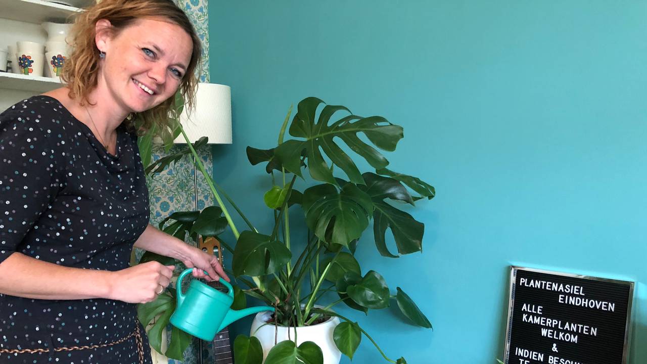 afgedankt of bijna dood alle planten zijn welkom bij het plantenasiel omroep brabant