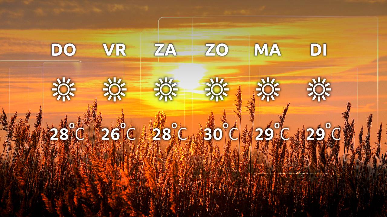 Zon, zon en nog eens zon de komende dagen!