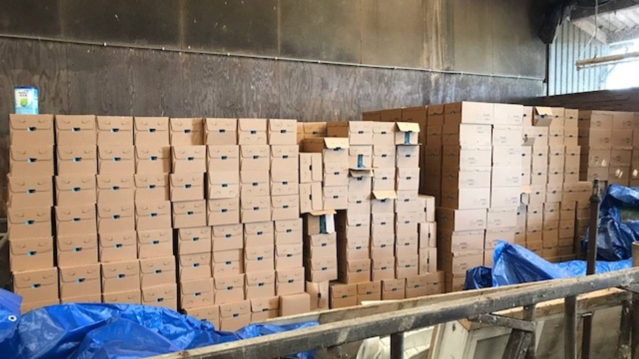 De gestolen babyvoeding