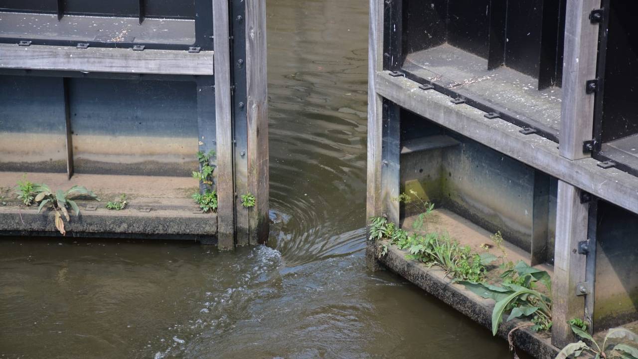 De maatregel moet de waterkwaliteit verbeteren.