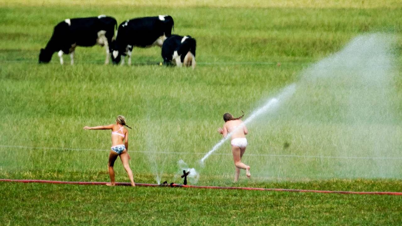 Het wordt weer tropisch. (Foto: ANP).