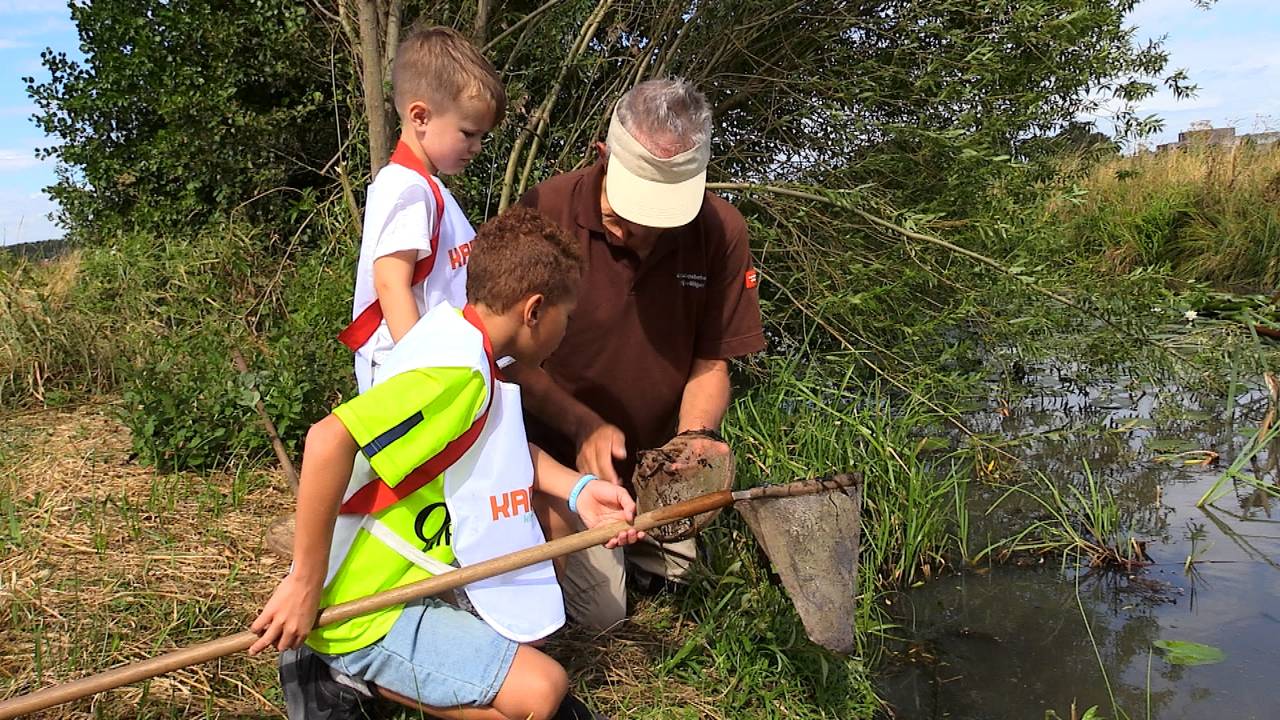 Kinderen op zoek naar waterdiertjes. (foto: Raymond Merkx)