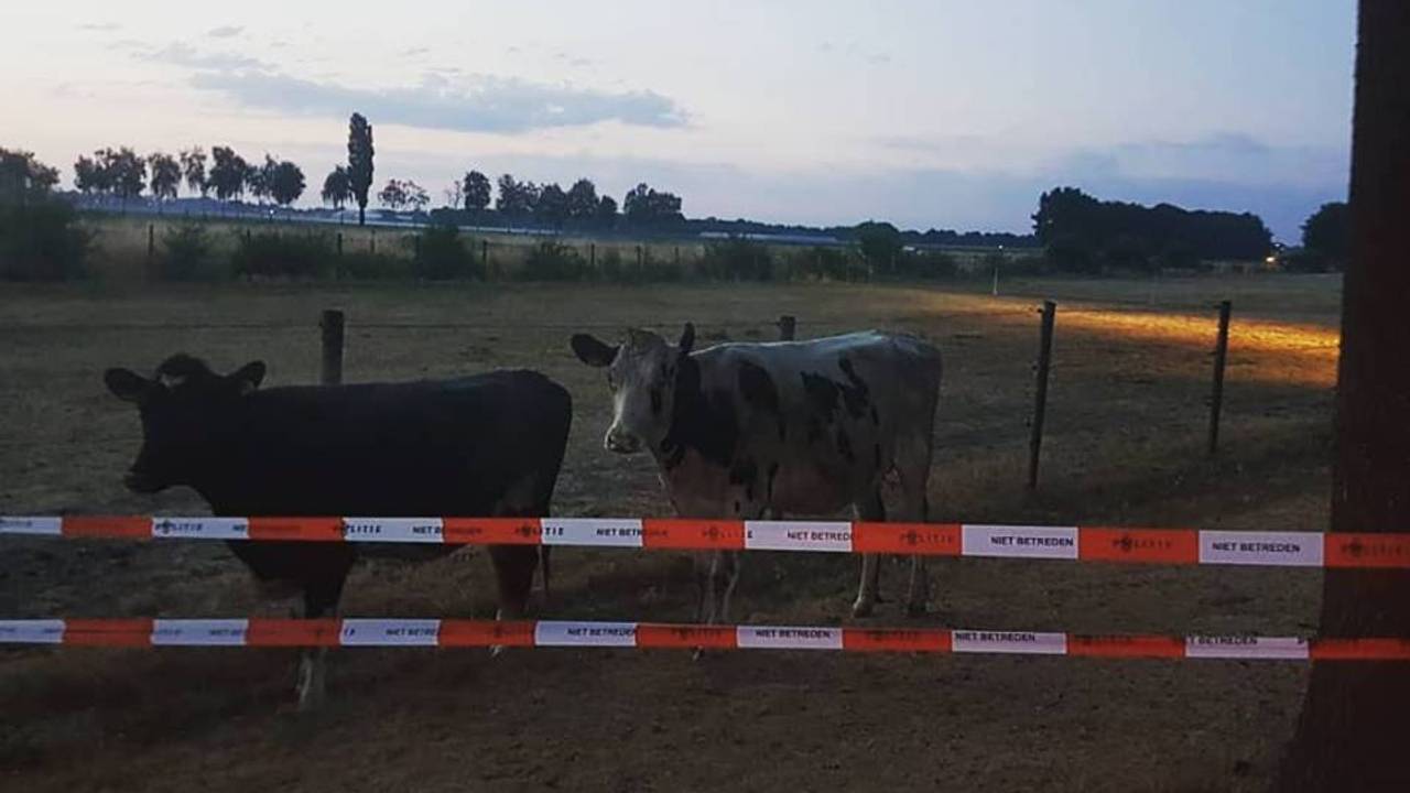 Foto: Politieteam Groene Beemden.