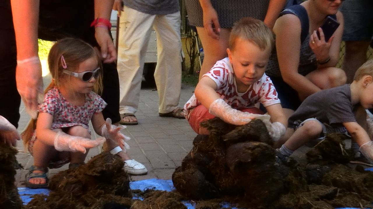 Er werd fanatiek gebouwd met de olifantenpoep in Dierenrijk.