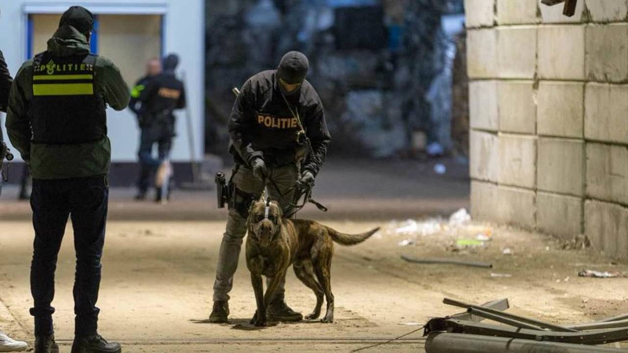 De inval eerder dit jaar (Foto: Mathijs Bertens/Stuve Fotografie).