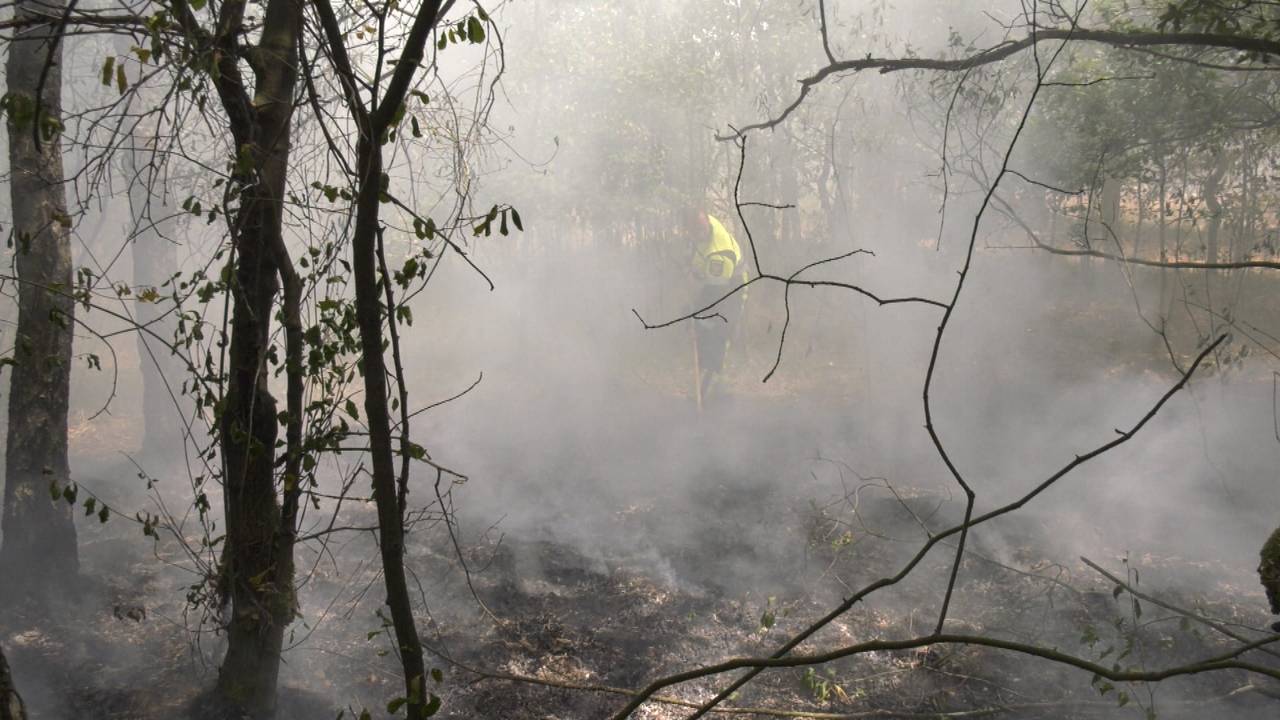 De brandweer slaat de brand in de Loonse en Drunense Duinen uit.