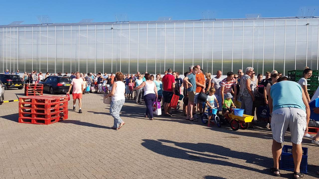 In de rij voor gratis tomaatjes (foto: Merel de Leuw).