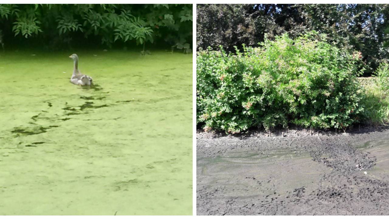 De natte en droge Kasteelgracht in Oploo (Foto Staf Jennes)