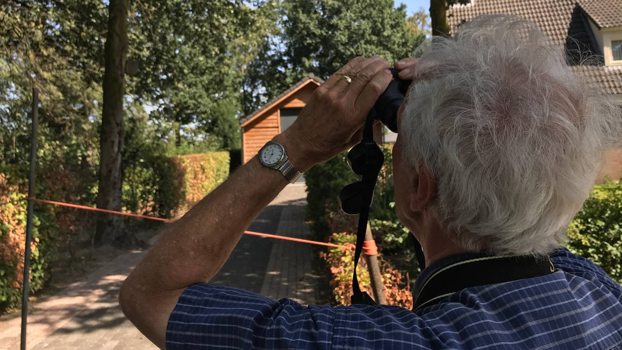 Vogelexpert Antoon Verhoeven zoekt de kraaien (foto: Paul Giezen)